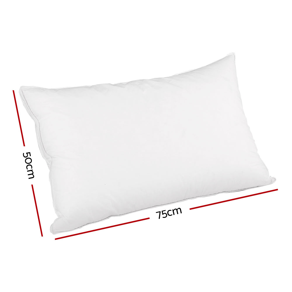 Giselle Bedding Duck Feather Down Pillow Luxury Twin Pack PILLOW-DFD-WALLX2