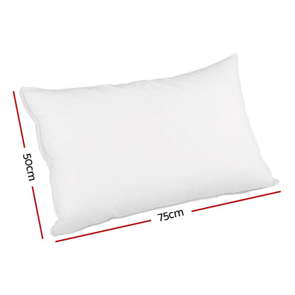 Giselle Bedding Duck Feather Down Pillow Luxury Twin Pack PILLOW-DFD-WALLX2
