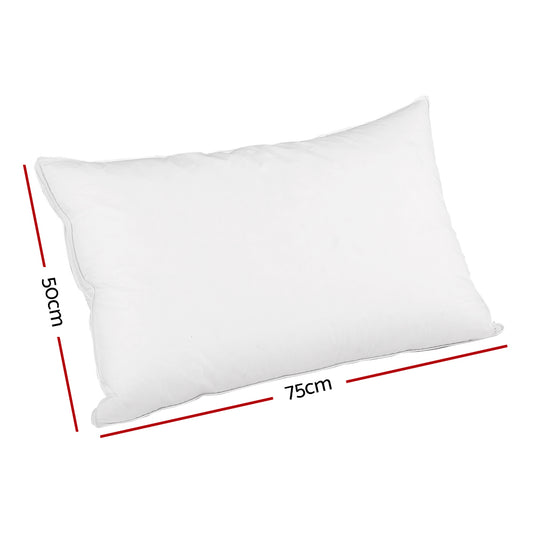 Giselle Bedding Duck Feather Down Pillow Luxury Twin Pack PILLOW-DFD-WALLX2