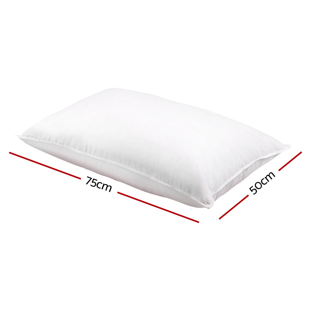 Giselle Bedding Duck Feather Down Pillow Twin Pack PILLOW-DFD-X2