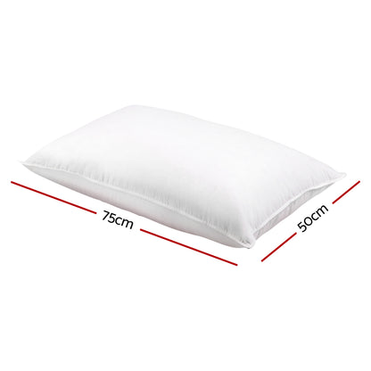 Giselle Bedding Duck Feather Down Pillow Twin Pack PILLOW-DFD-X2