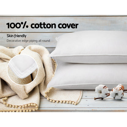 Giselle Bedding Duck Feather Down Pillow Twin Pack PILLOW-DFD-X2