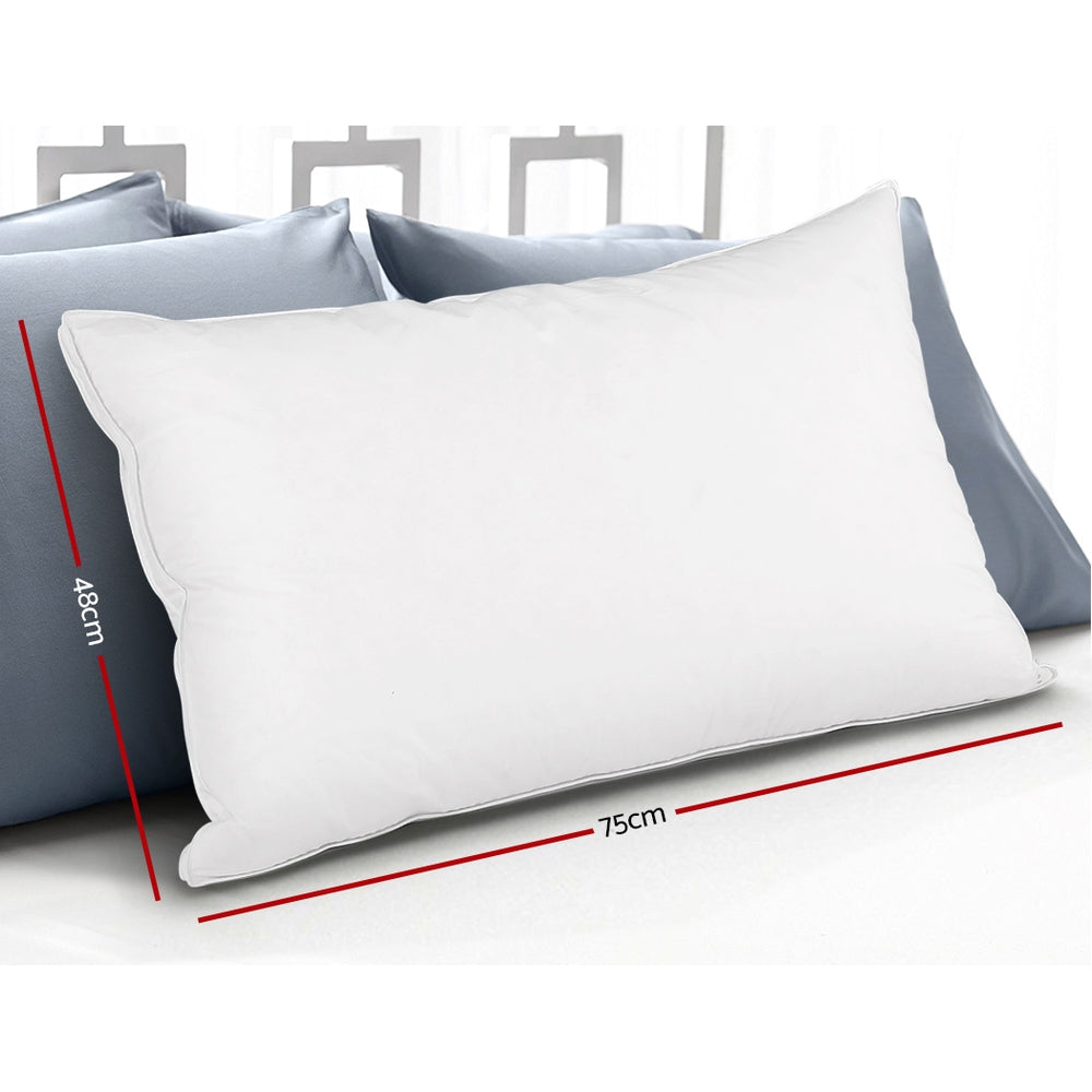 Giselle Bedding Goose Feather Down Pillow Luxury Twin Pack PILLOW-GOOSE-WALLX2