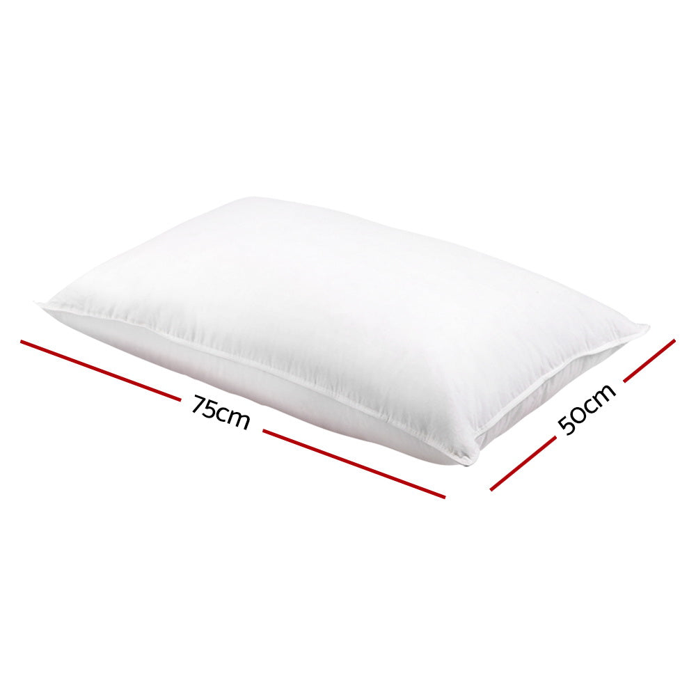 Giselle Bedding Goose Feather Down Pillow Twin Pack PILLOW-GOOSE-X2