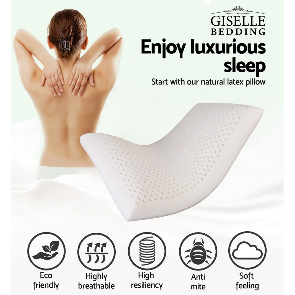 Giselle Bedding Natural Latex Pillow Classic Twin Pack PILLOW-LT-SHED-X2