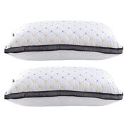 Giselle 2pcs Pillows Microfibre PILLOW-MICRO-4873X2