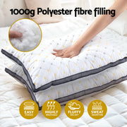Giselle 2pcs Pillows Microfibre PILLOW-MICRO-4873X2