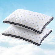 Giselle 2pcs Pillows Microfibre PILLOW-MICRO-4873X2