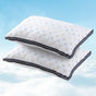 Giselle 2pcs Pillows Microfibre PILLOW-MICRO-4873X2