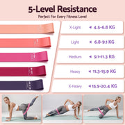 Everfit Pilates Ring Set for Women, 15pcs Home Workout Pilates Equipment with Ring, Ball, Yoga Socks, D-Ring etc. Pilates Starter Kit for Strength, Toning and Flexibility Purple