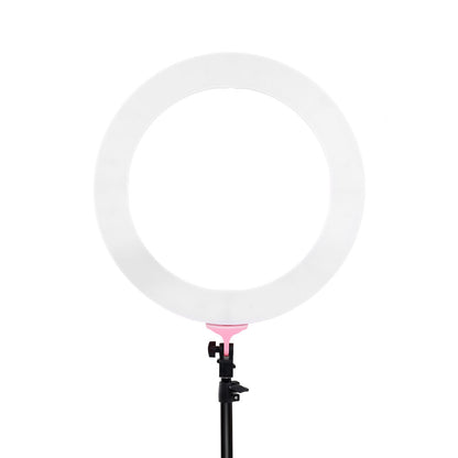 Embellir Ring Light 19" Tripod Stand Pink RL-FL-006-PK-LV