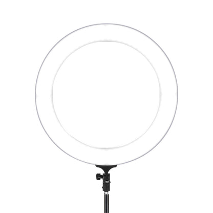Embellir Ring Light 19" Tripod Stand Silver RL-FL-006-SI-LV
