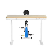 Artiss Under Desk Folding X-Bike with 120cm Automatic Standing Desk Magnetic Resistance Oak SDEB-S08-NW-120-DB02