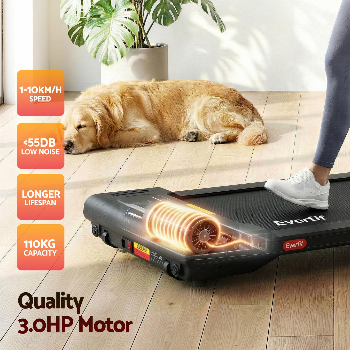 Everfit Walking Pad Treadmill 2 in 1 Foldable Under Desk for Home Gym With 38cm Belt With APP TMILL-380-FD-BK