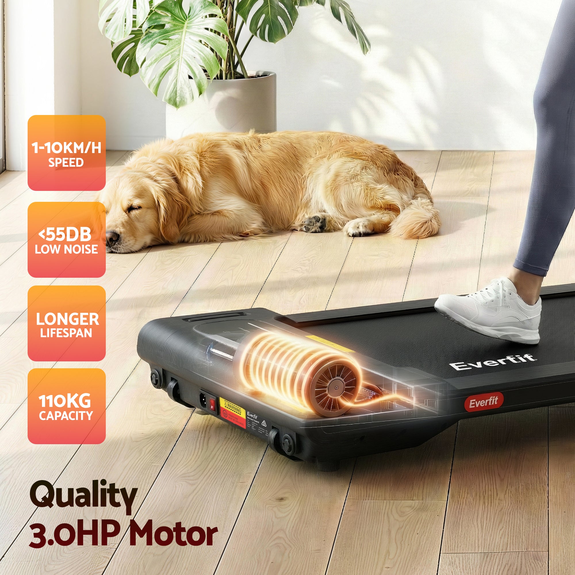 Everfit Walking Pad Treadmill 2 in 1 Foldable Under Desk for Home Gym With 38cm Belt With APP TMILL-380-FD-BK