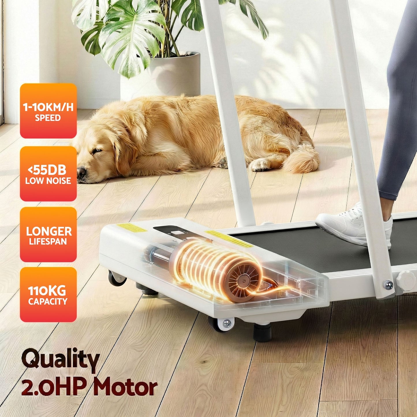 Everfit 2 in 1 Treadmill Electric Walking Pad Under Desk Home Gym Fitness 380mm White TMILL-380-PAD-WH