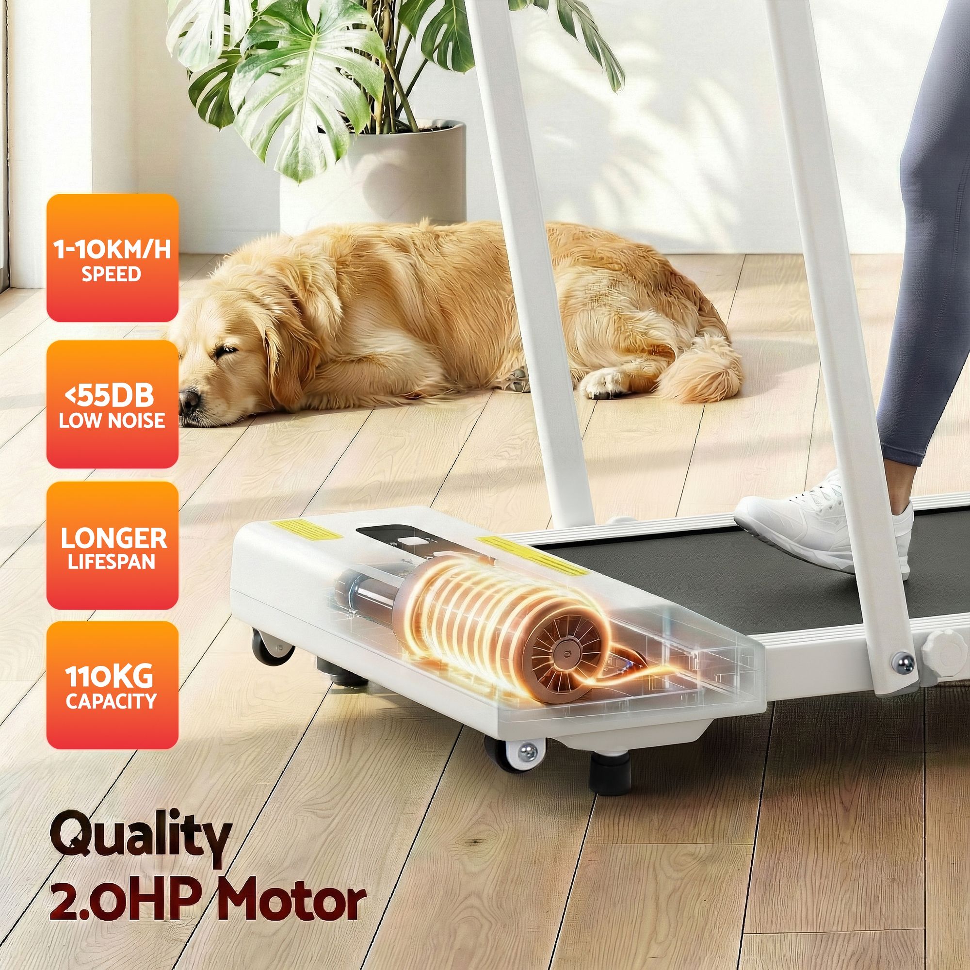Everfit 2 in 1 Treadmill Electric Walking Pad Under Desk Home Gym Fitness 380mm White TMILL-380-PAD-WH