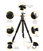 Weifeng Professional Camera Tripod Stand Mount DSLR Travel Adjustable 64-173cm TP-WT6663A