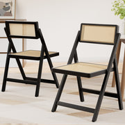 Artiss 2x Dining Chairs Wooden Rattan Foldable Black UPHO-C-DIN-01-RAT-BKX2
