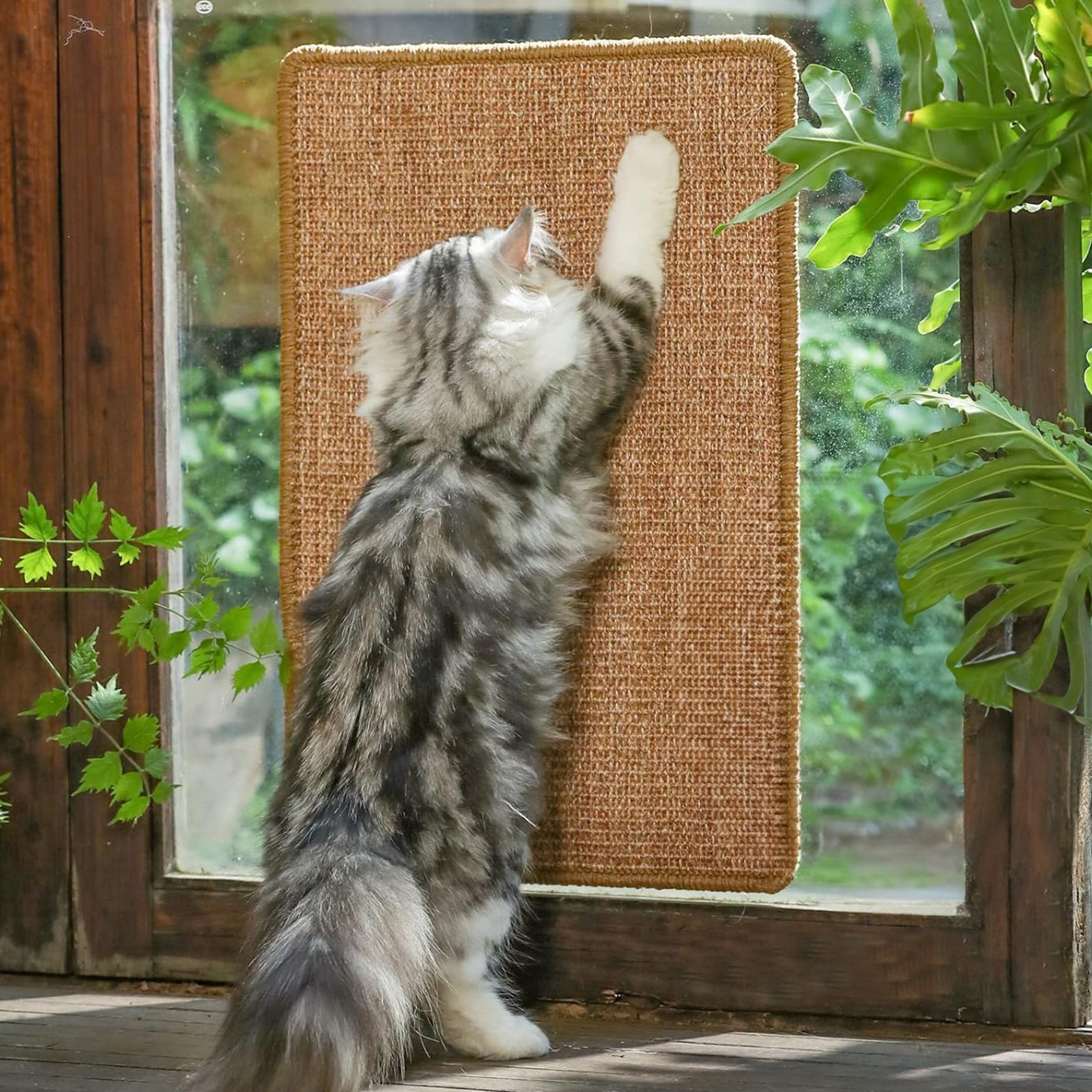 PupLily Natural Sisal Cat Scratch Mat, 40 X 60 CM V1003-PPL-SMT-SBS002-STD-FBM