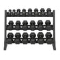 11 Pairs Hex Dumbbells PLUS Dumbbell Rack (385 kg | 5kg-30kg | 1.3m 3-tier Rack) V1012-CF12HDB385DBR130