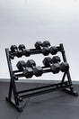 4 Pairs Hex Dumbbells PLUS Dumbbell Rack (100 kg | 5kg-20kg | 1.1m 3-tier Rack) V1012-CF5HDB100DBR110