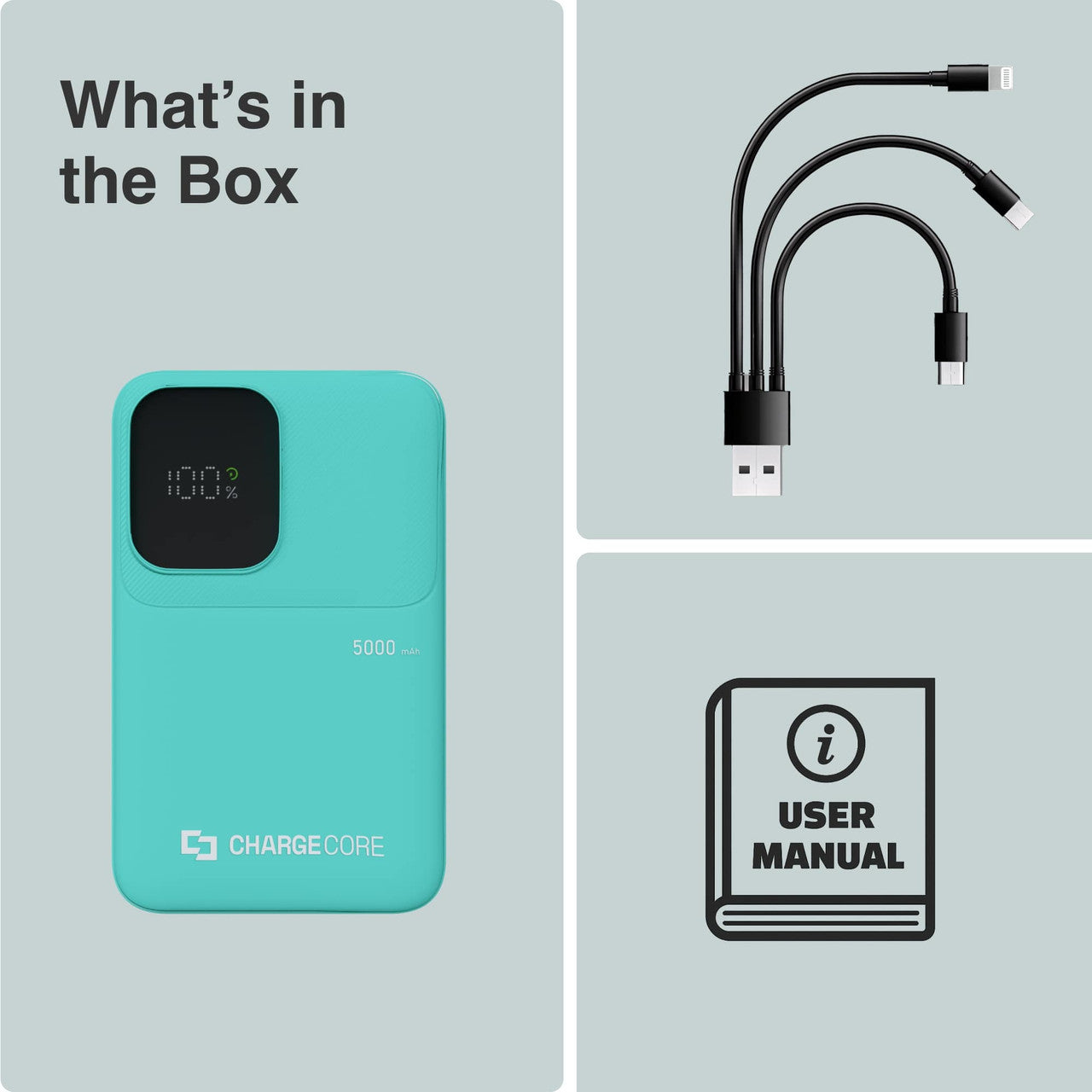 ChargeCore SafeCharge Max 5K - Aquatic Awe V1031-PB-5KLFAQ-034