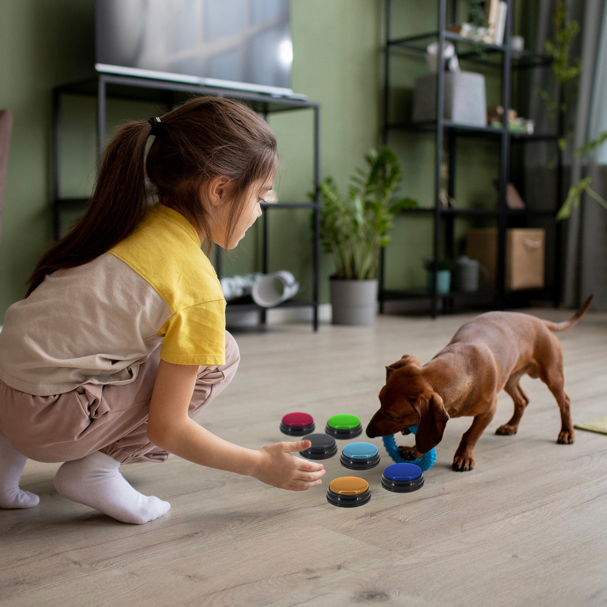 Tech4Pets 6-Pack Talking Buttons for Interactive Pet Communication V1031-T4P-TB6PK-739