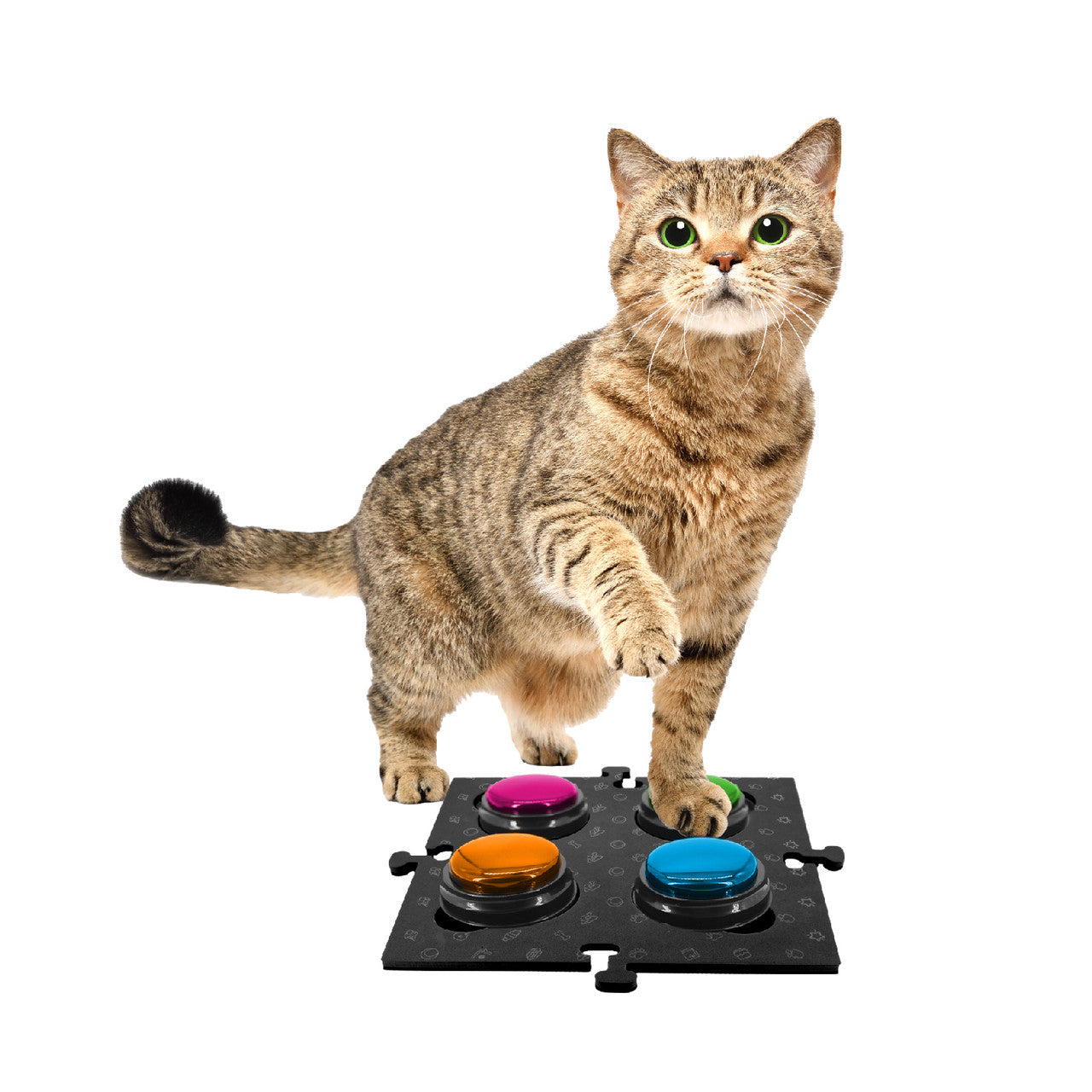 Tech4Pets Black Mat 2-Pack for Talking Buttons & Floor V1031-T4P-TBM2B-746
