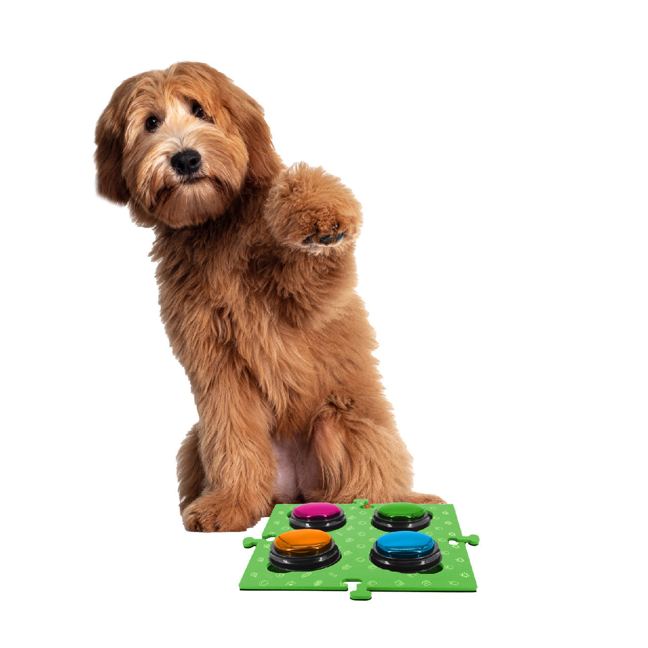 Tech4Pets Green Mat 2-Pack for Talking Buttons & Floor V1031-T4P-TBM2G-760