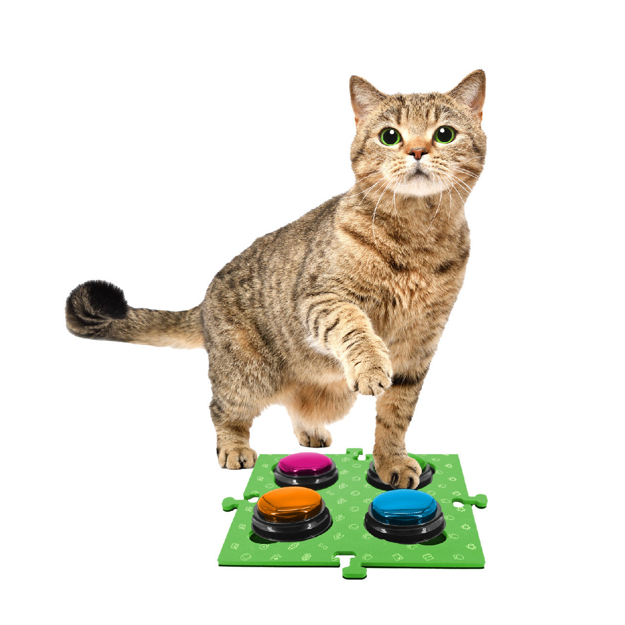 Tech4Pets Green Mat 2-Pack for Talking Buttons & Floor V1031-T4P-TBM2G-760