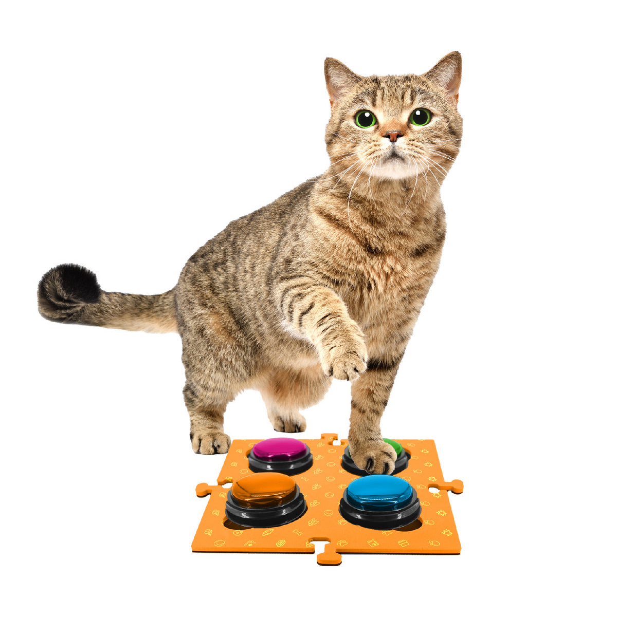 Tech4Pets Orange Mat 2-Pack for Talking Buttons & Floor V1031-T4P-TBM2O-777