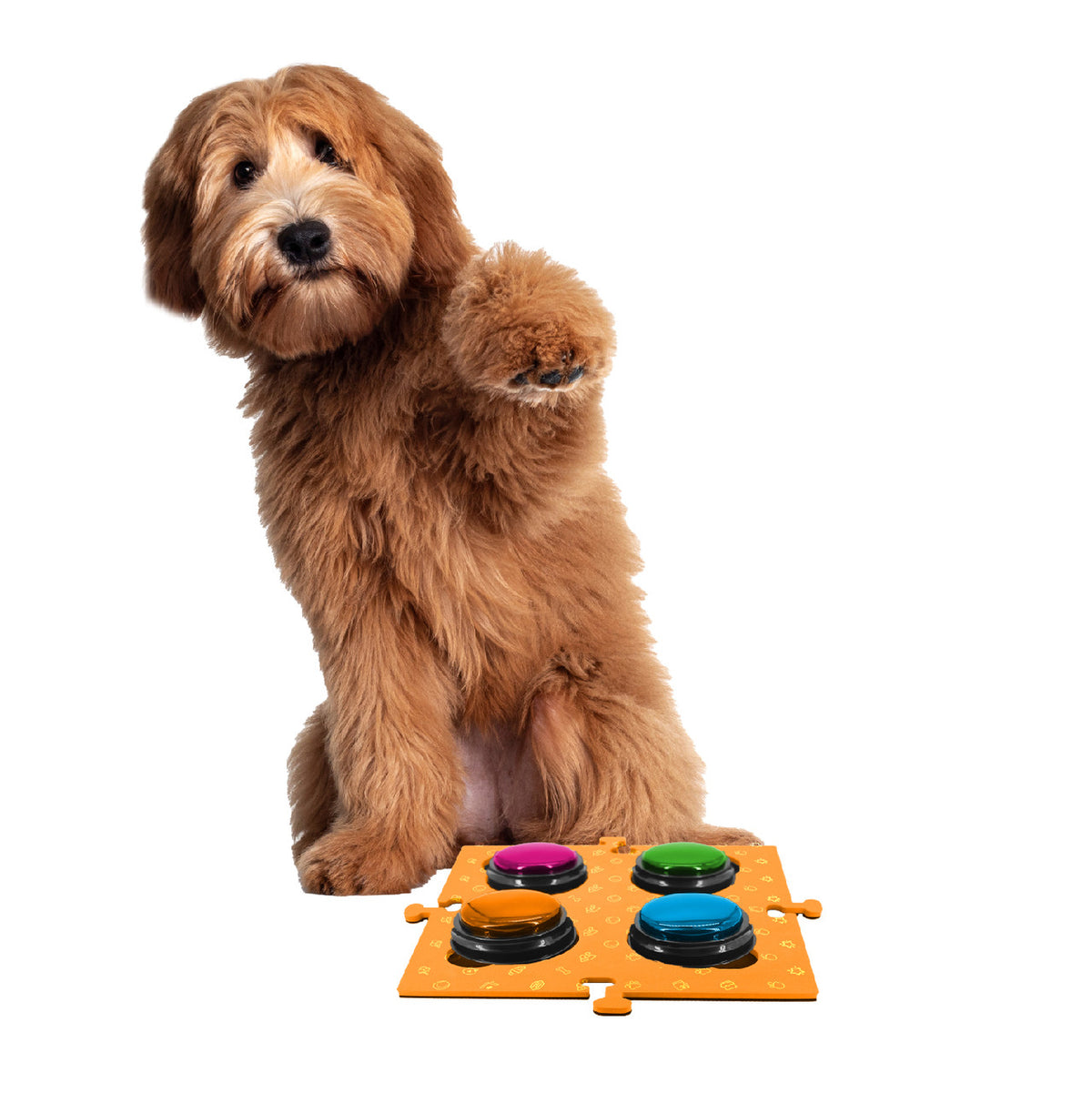 Tech4Pets Orange Mat 2-Pack for Talking Buttons & Floor V1031-T4P-TBM2O-777