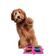 Tech4Pets Pink Mat 2-Pack for Talking Buttons & Floor V1031-T4P-TBM2P-753