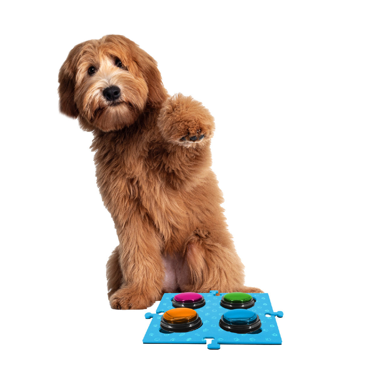 Tech4Pets Blue Mat 2-Pack for Talking Buttons & Floor V1031-T4P-TBMBL-784