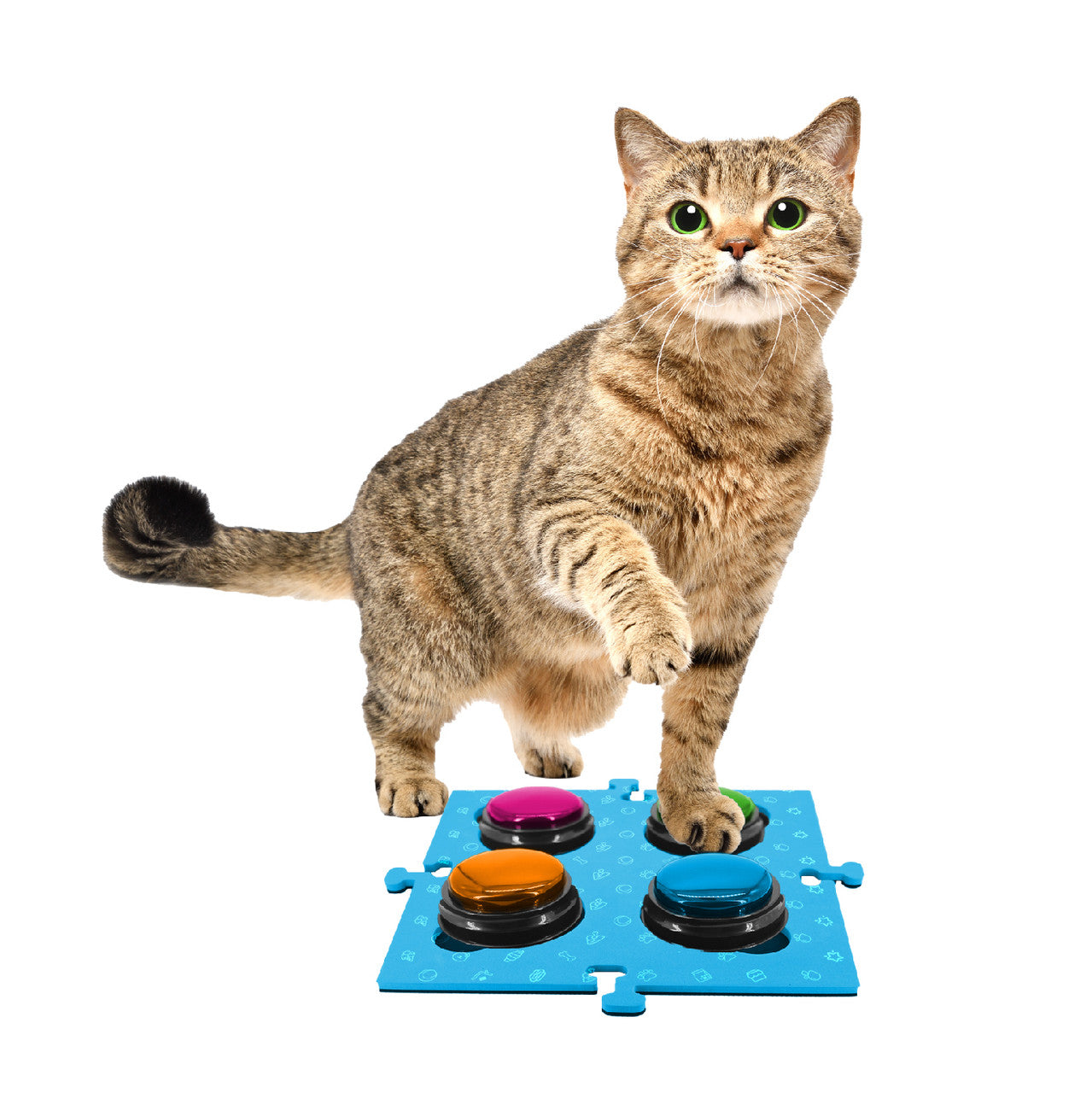 Tech4Pets Blue Mat 2-Pack for Talking Buttons & Floor V1031-T4P-TBMBL-784