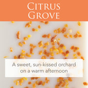 Citrus Grove 2.5 Oz Artisan Melts V1049-3100S