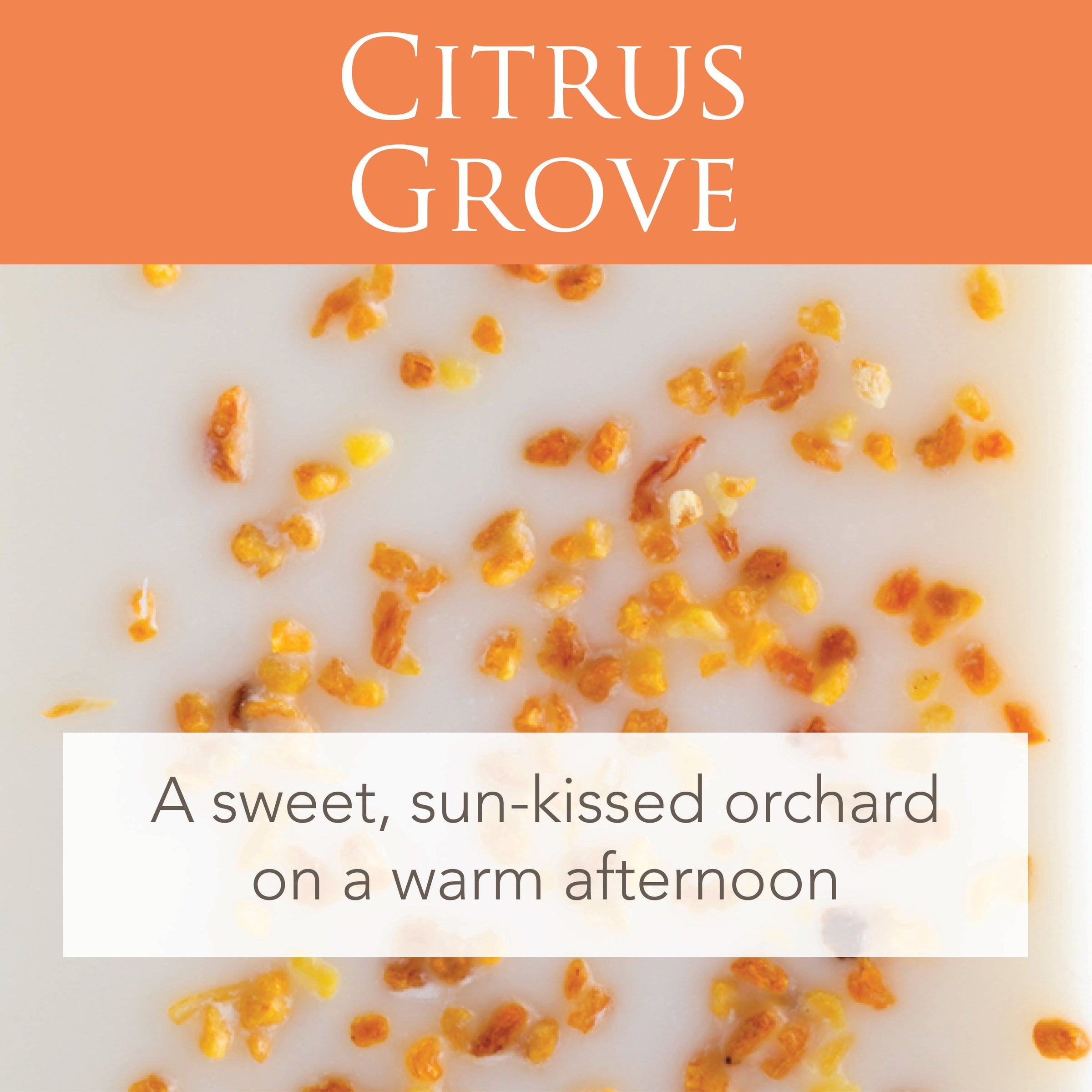 Citrus Grove 2.5 Oz Artisan Melts V1049-3100S