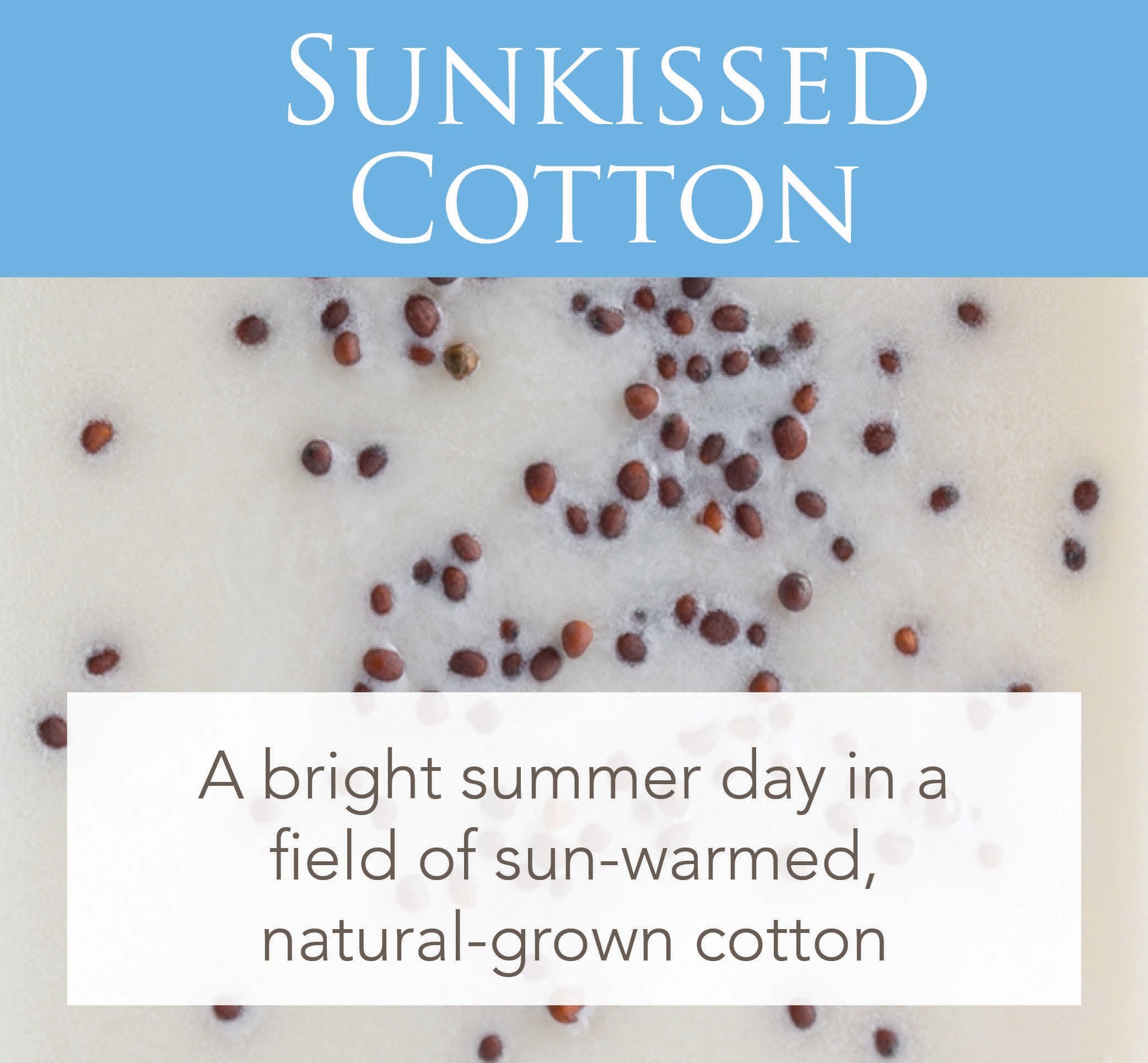 Sunkissed Cotton 2.5 Oz Artisan Melts V1049-3690S