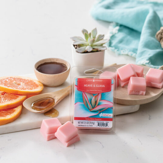 Agave & Guava Classic Wax Melts 2.5oz V1049-7010S