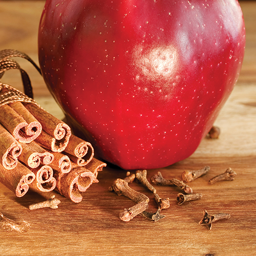 Spiced Apple Wax Melts 2.5oz V1049-7040S