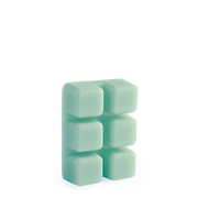 Escape to Paradise Wax Melts 2.5oz V1049-7320S