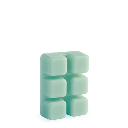 Escape to Paradise Wax Melts 2.5oz V1049-7320S