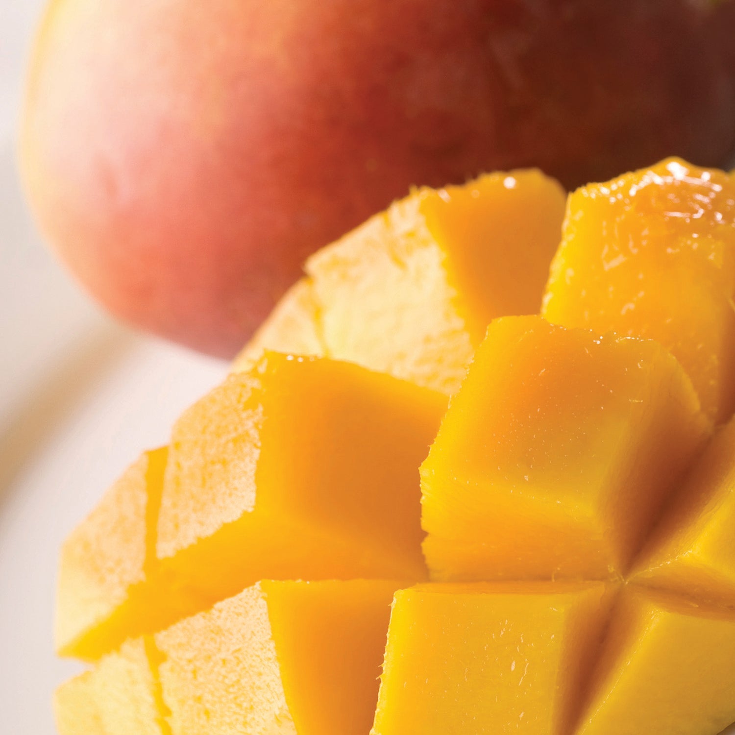 Summer Mango Wax Melts 2.5oz V1049-7980S