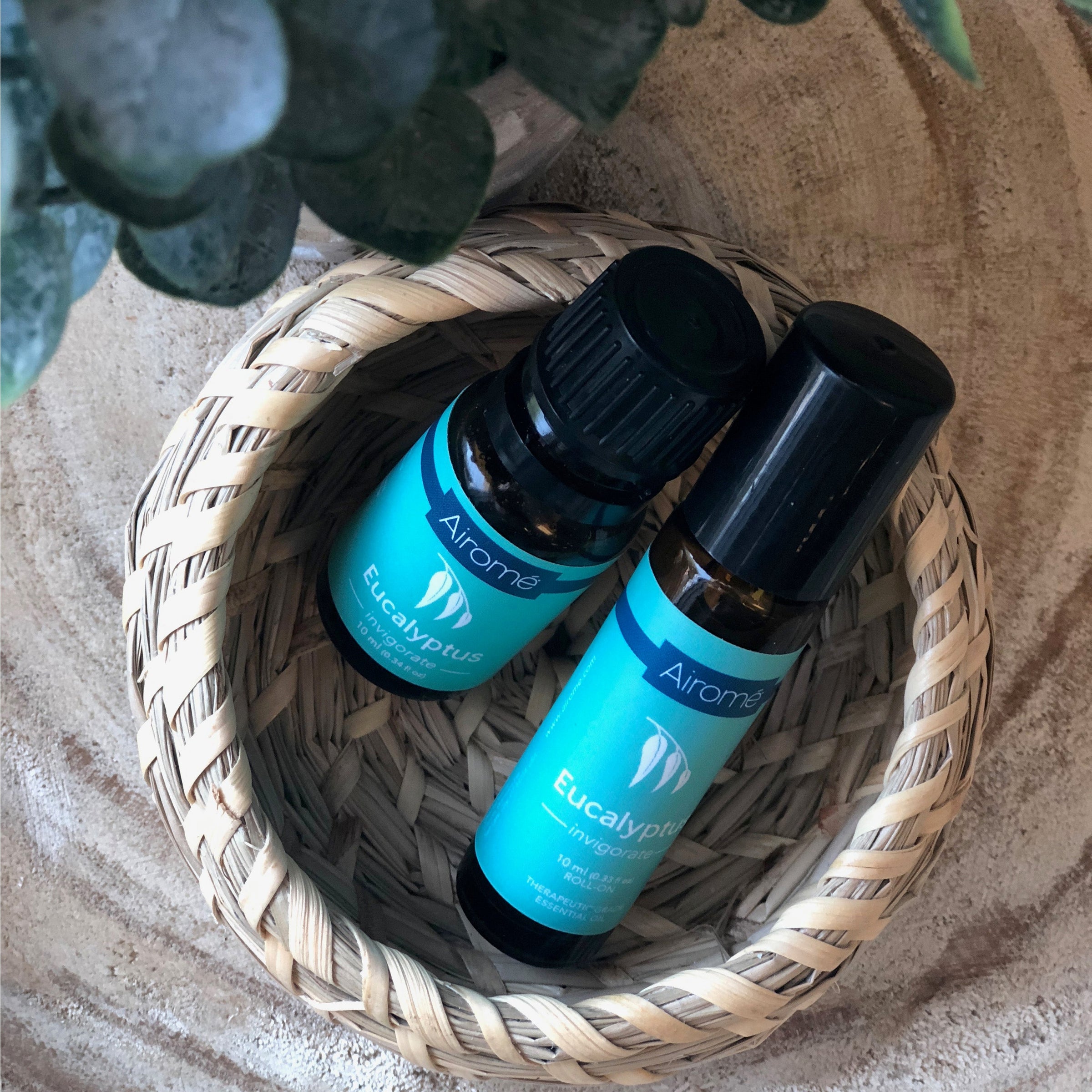 Eucalyptus Essential Oil V1049-E330