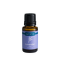 Lavender Essential Oil V1049-E500