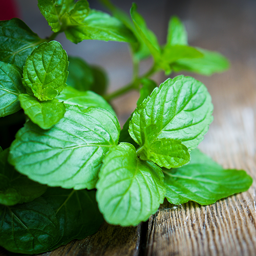 Peppermint Essential Oil V1049-E680