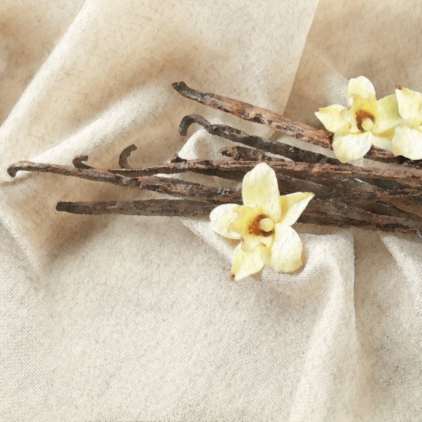 Vanilla Dream Scents V1049-E940