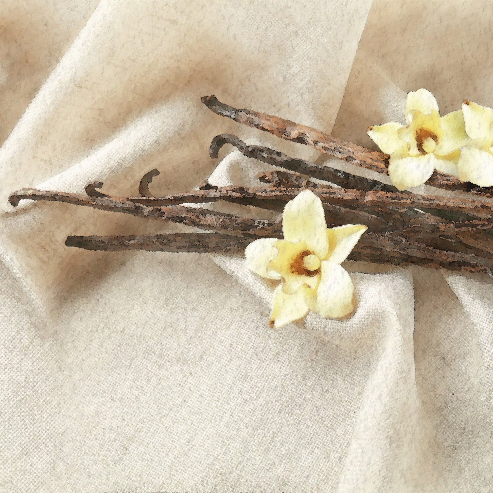 Vanilla Dream Scents V1049-E940