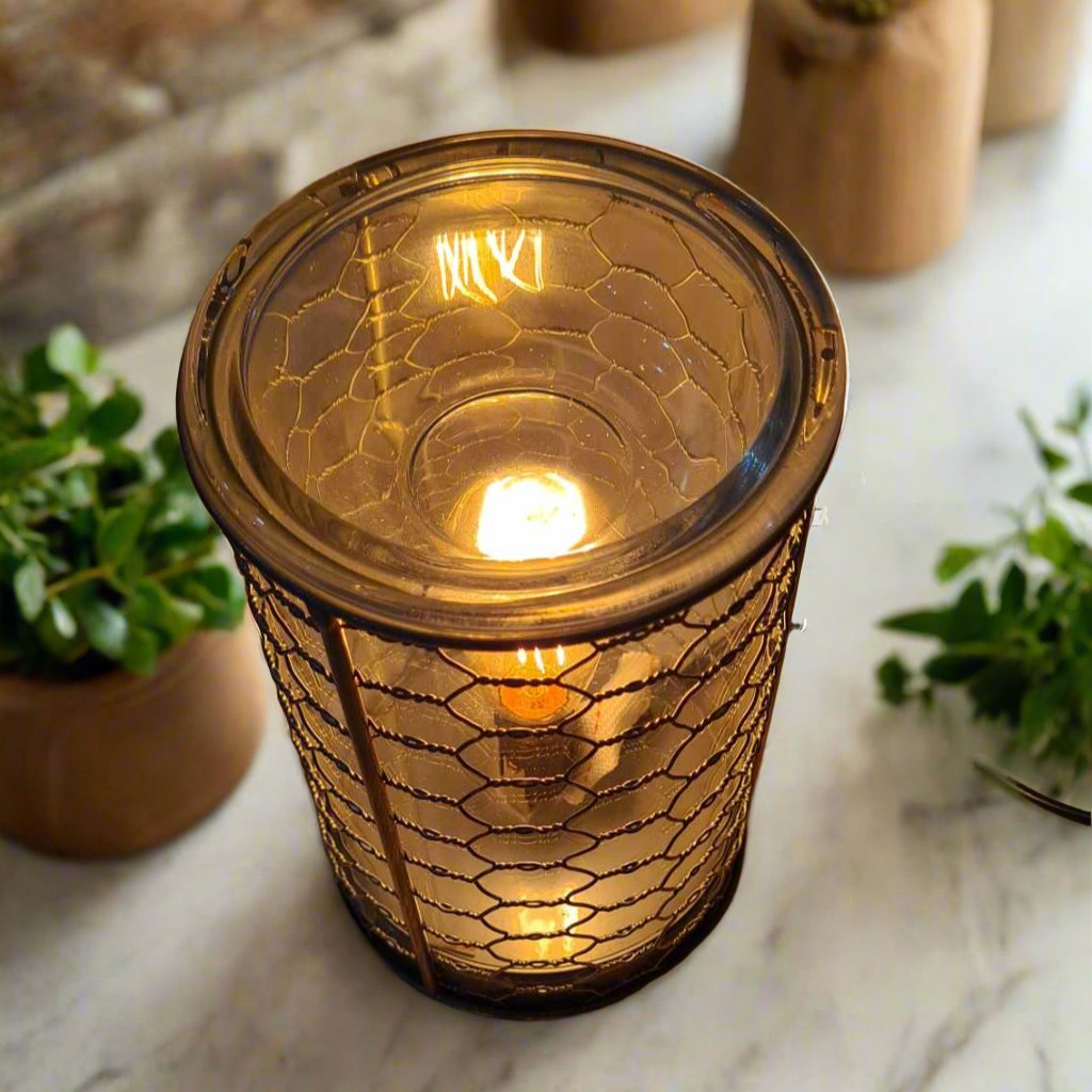 Chicken Wire Edison Bulb Illumination Warmer V1049-EBCHW